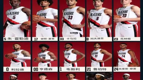 NBA生存法则：非顶级球员的双向合同传奇——以“狂犬”式防守铺就成功之路